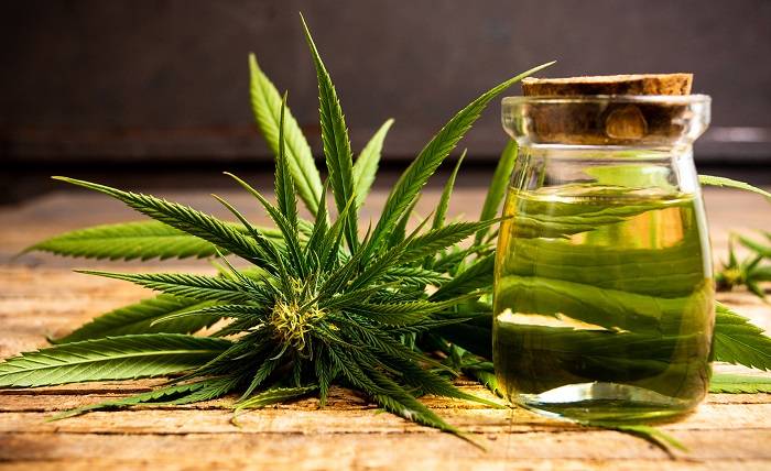 Incredible Health Benefits Of Cannabis