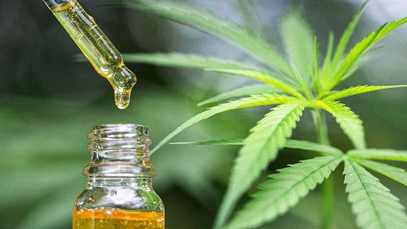CBD Oil for Panic Attacks Can It Help